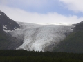 Exit Glacier