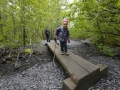 En route vers Exit glacier